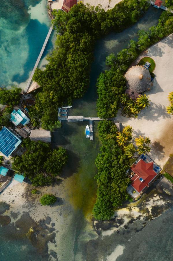 Hotel Royal Belize à Thatch Caye Extérieur photo